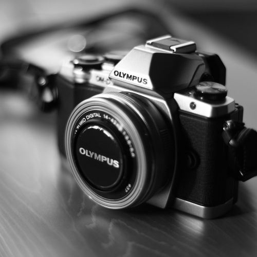 Nikon Z50